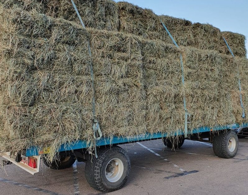 Coopérative agricole Ajaccio