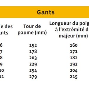GANTS VACHETTE HYD.