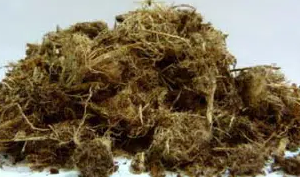 PLANTCO ECOFIBRE VERTE