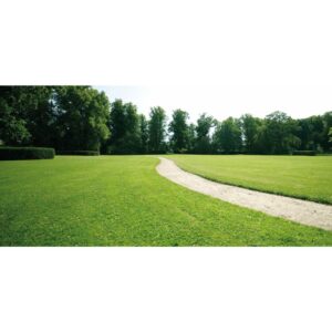GAZON MDG 45 RUSTIQUE
