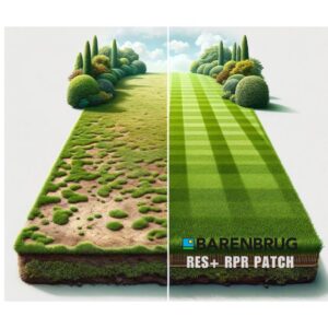 GAZON RPR PATCH