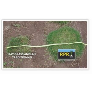 GAZON RPR PATCH