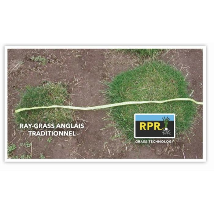 GAZON RPR PATCH – Image 2