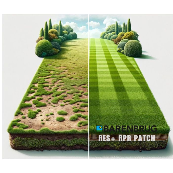 GAZON RPR PATCH