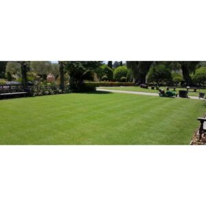 GAZON TOP GREEN EXTRA SEC